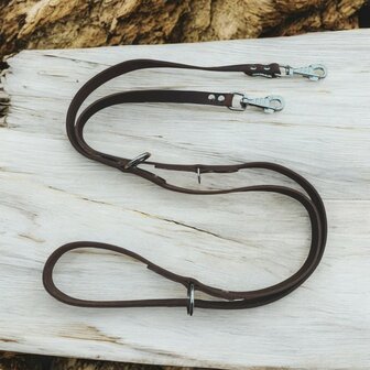 Multifunctional leash 