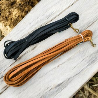  Leather track leash