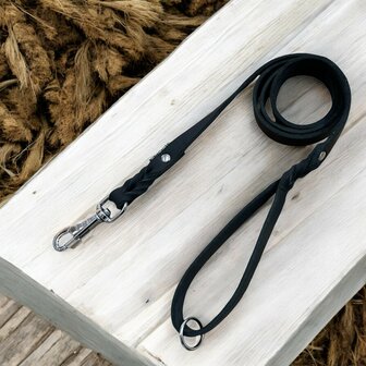 Dog leash with handle