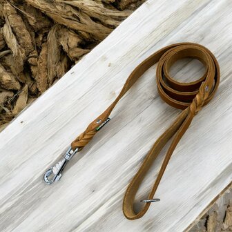 Dog leash with handle