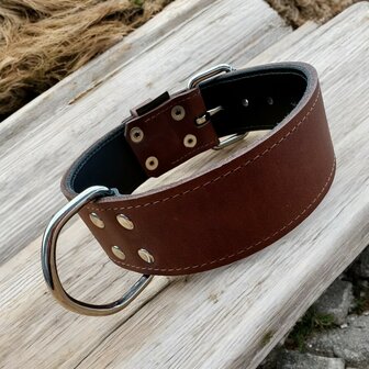 Leder halsband 5cm breed