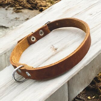 Puppy collar 0.78in wide