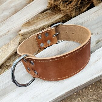 Harness leather collar 1.96 inch wide