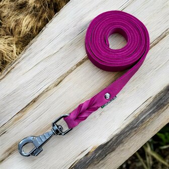 Pink dog leash