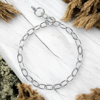 Stainless steel chain