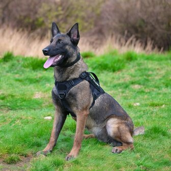 Tactical Harness coyote brown