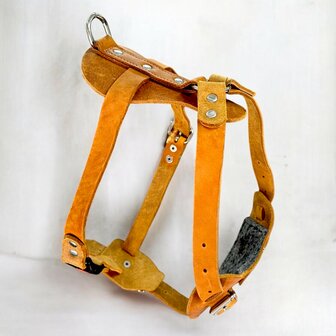 Leather harness