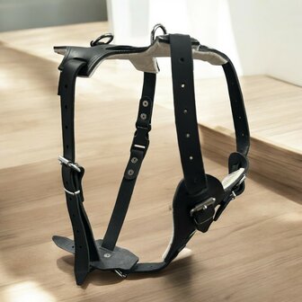 Borsttuig / Harness