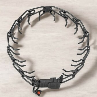 HS Sprenger prong collar with ClicLock