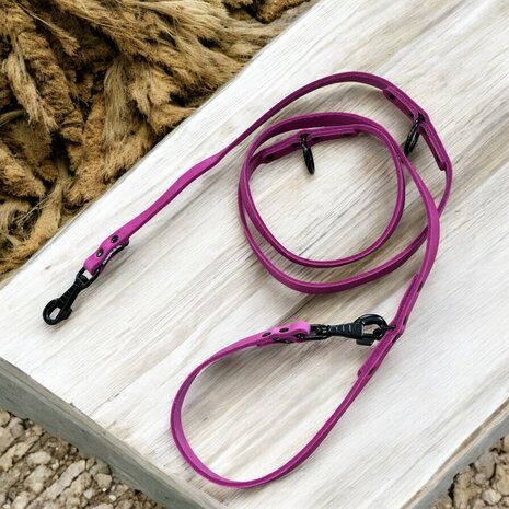 Multifunctional leash 