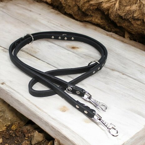 Multifunctional leash double