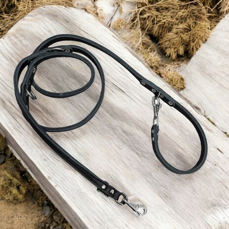 Multifunctional leash double