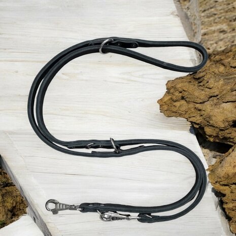 Multifunctional leash double