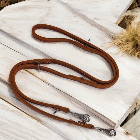 Multifunctional leash double