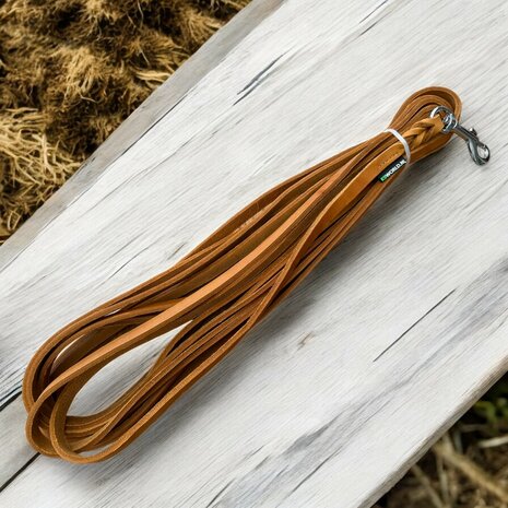  Leather track leash