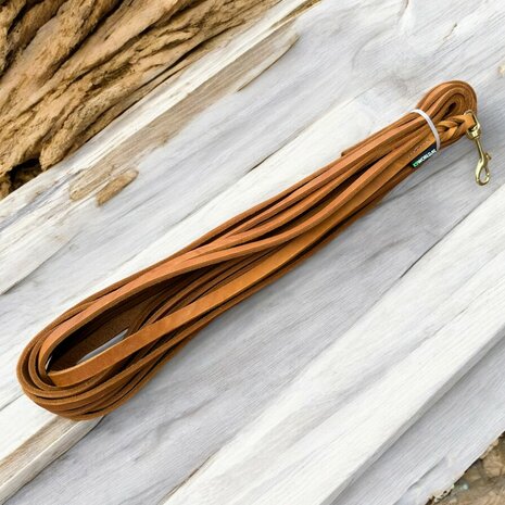  Leather track leash