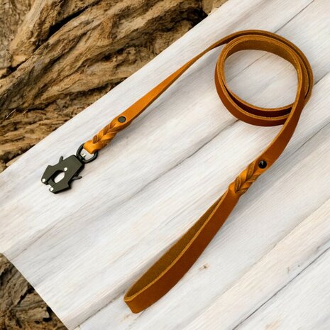 Dog leash with Frog Clip