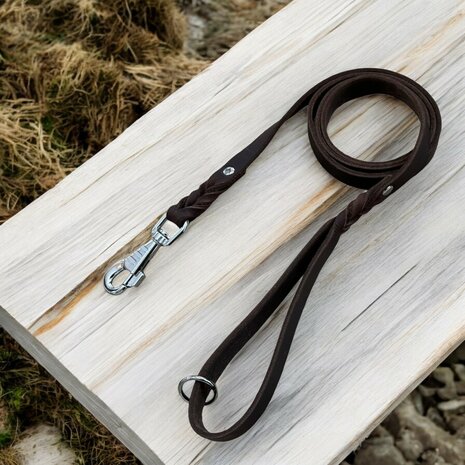 Dog leash with handle