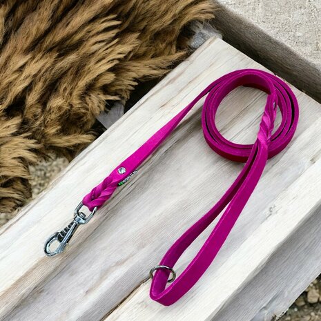 Dog leash with handle