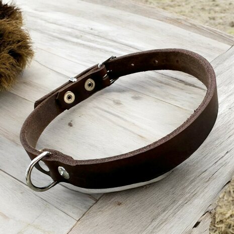 Puppy collar 0.78in wide