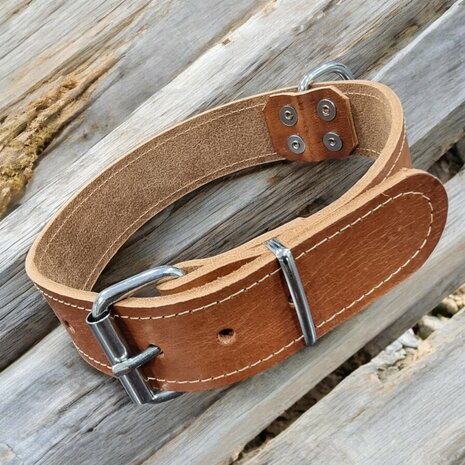 Harness leather  collar 1.57 inch wide