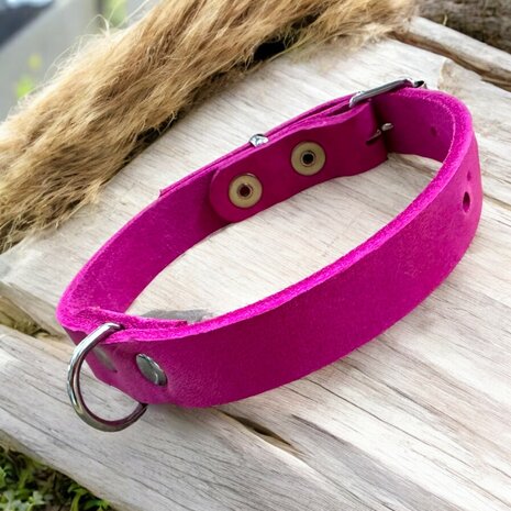 Pink puppy collar