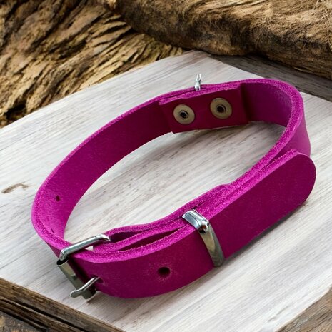 Pink puppy collar