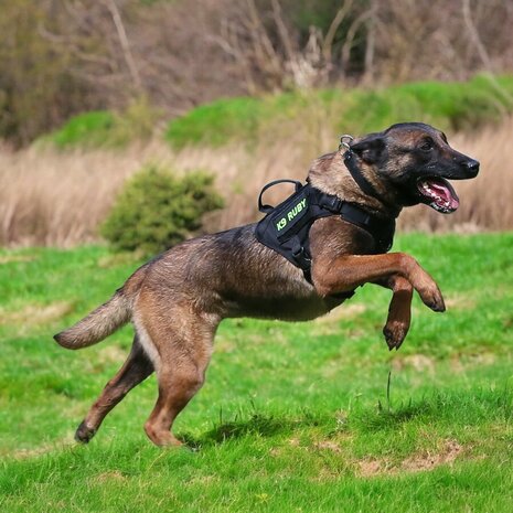 Tactical Harness black