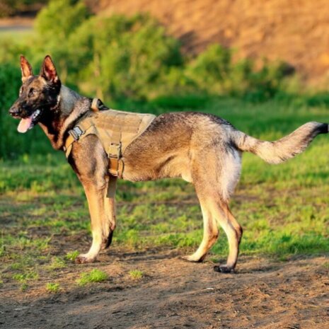 Tactical Harness coyote brown