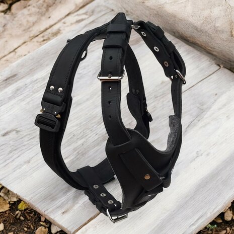 Leather harness