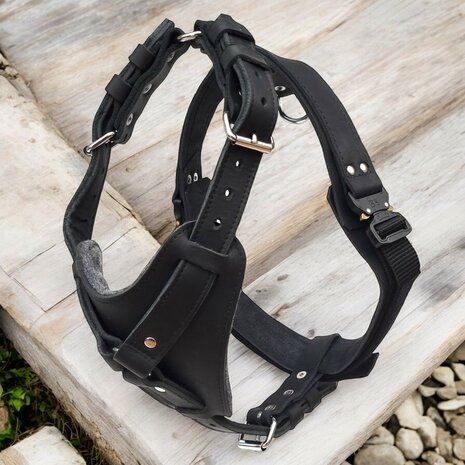 Leather harness