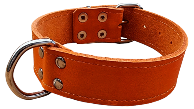 Oranje Halsband 4cm breed