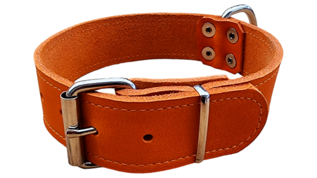 Oranje Halsband 4cm breed