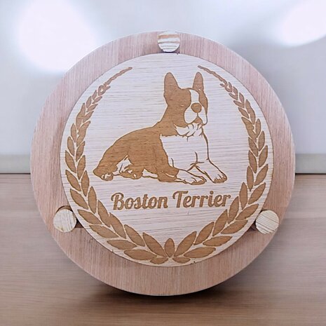 Boston Terrier