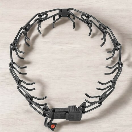 HS Sprenger prong collar with ClicLock